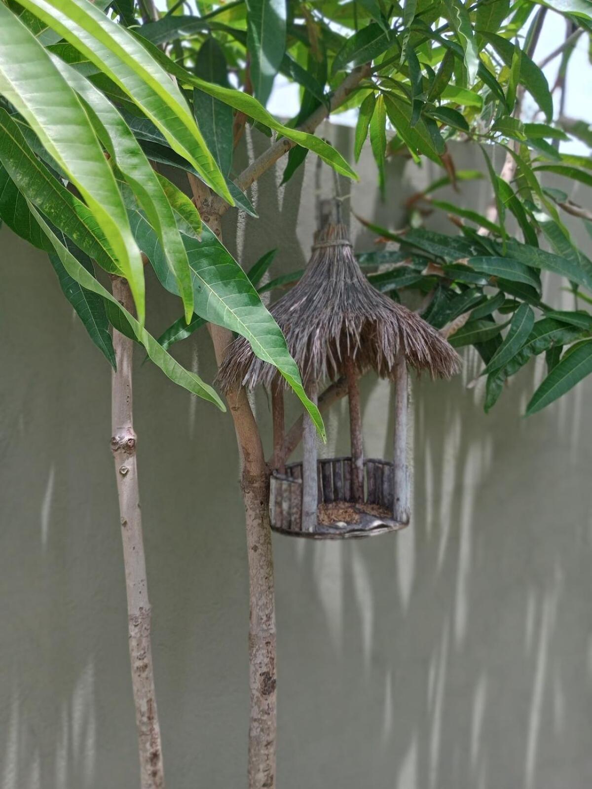 Casa Amendoeira - Porto De Sauipe * Salvador